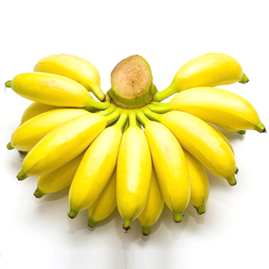 广西小米蕉当季水果新鲜1-9斤绿皮需催熟banana整箱苹果香蕉芭蕉5