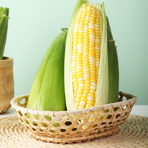 精选云南高原水果鲜玉米应当季原产地新鲜现摘速发产地速发