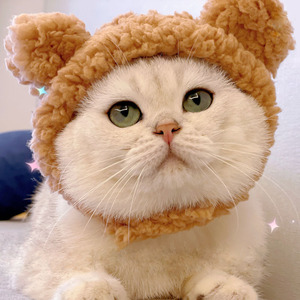 宠物猫帽子可爱新年毛绒猫咪头套英短猫猫小型犬狗狗拍照头饰变装