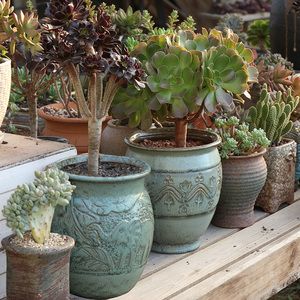 特价法师盆多肉花盆老桩盆特大号肉肉植物高陶罐复古绿植创意欧式