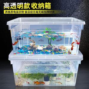 透明养鱼水箱塑料养鱼专用水箱阳台大号带盖养殖箱家庭用养龟箱子