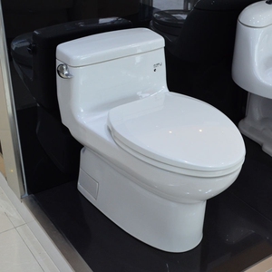 ssww/浪鲸卫浴官方t0t0马桶家用抽水连体座便器智洁釉面节水防堵