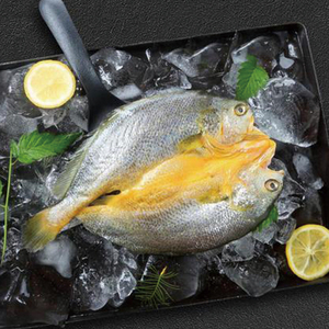 宁德霞浦海鲜特产咸香大黄鱼半干黄花鱼水产黄鱼鲞黄瓜鱼腌制鲜活