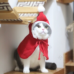 宠物猫咪圣诞小红帽披肩斗篷披风过年喜庆节日装扮衣服春节新年