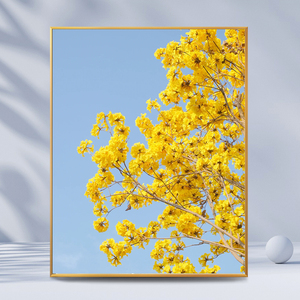 00我的宝贝78640911淘宝玛克茜妮同款奶油黄风铃花