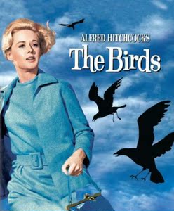 4k uhd 群鸟1963希区柯克带国配蓝光电影碟超清