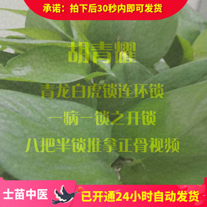 青龙白虎锁连环锁