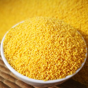 富硒小米羊粪小米羊肥小米黄小米小黄米新米特级陕北米脂小米杂粮