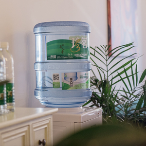 珍茗桶装水水票