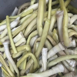 安徽芜湖无为襄安特产芦笋芦苇笋新鲜芦财笋荻笋包邮当季下饭蔬菜