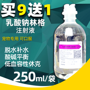 乳酸林格液狗狗酸中毒酸碱平衡林格氏液宠物专用乳酸钠林格注射液