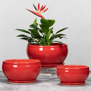 28cm君子兰花盆陶瓷特大号红色花盆中国风瓷花盘绿植吸水简约创意
