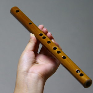 学生入门竹笛小笛子迷你短笛成人乐器女 无膜孔 随身初学者儿童