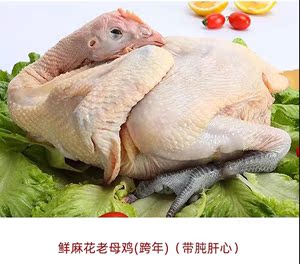 遵义正安 鲜黔北麻花老母鸡(带肫肝心)1.25kg/只 袋装