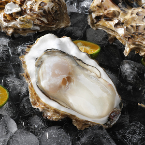 带壳海鲜海鲜刺身