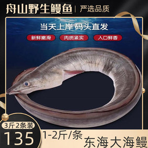 舟山产新鲜大东海鳗鱼鲜活冷冻整条冰鲜海鲜深海青麻鱼风鳗筒生鲜