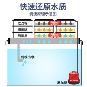 鱼缸过滤器系统整套循环免换水下神器陶瓷圆缸上底滤槽水循环大型