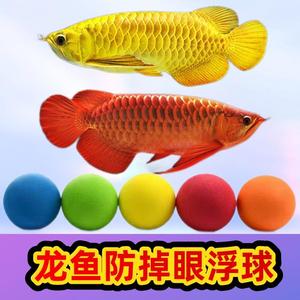 龙鱼防掉眼神器鱼缸逗鱼神器玩具飘浮球水族箱装饰金红龙鱼悬浮球