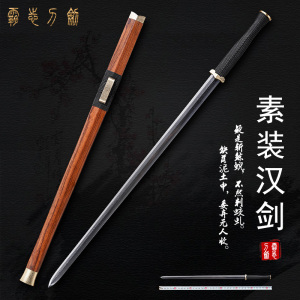 龙泉霸志宝剑 四面汉剑 一体刀剑花纹钢镇宅宝剑防身冷兵器未开刃
