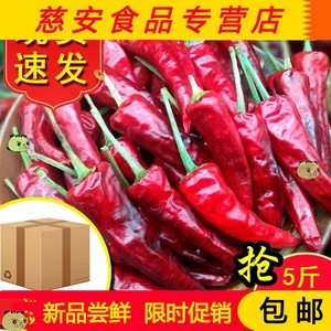 香辣型福建辣椒王古田朝天椒卤菜鸭脖专用辣椒现捞鸭脖专用干辣