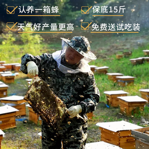 春归巢认养一箱蜂保底15斤秦岭深山纯正天然野生土蜂蜜