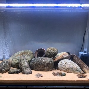 黄金沙鱼缸底砂造景沙菲律宾沙石子盆景装饰沙子烟灰x缸垃圾桶白