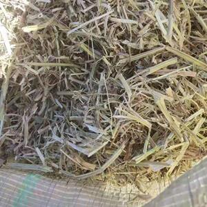 秧草料干草秆喂牛羊马秋冬干草c养殖畜牧秸青储粗饲料草粉糠