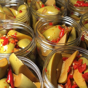 999人付款天猫生吃酸芒果象牙芒5斤青芒果新鲜海南酸脆生芒果孕妇水果