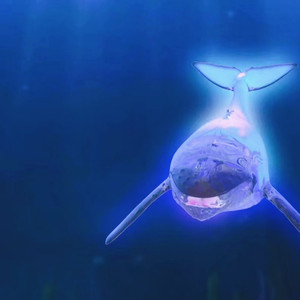 酷狗繁星礼物月光之城星砖花海人头任务锦鲤仓库御龙在天上古巨鲲