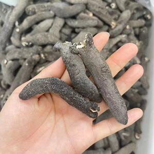 美国直邮 墨西哥肥仔参中号 454g