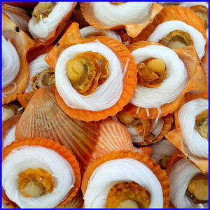 粉丝黄金贝扇贝蒜蓉商用冷冻水产烧烤海鲜半壳约200个/件广东包邮