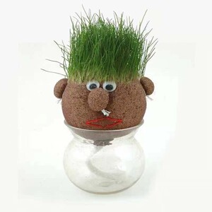 抖音香草长草娃娃可爱迷你小草人植物绿植长草迷你盆栽创意小植物