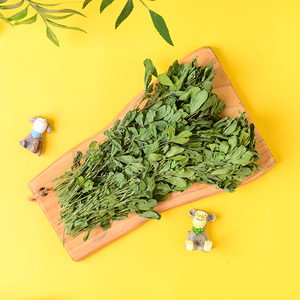 2022兔子吃的草紫花苜蓿草新鲜牧草龙猫粮兔饲料干草嫩草尖200g装
