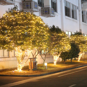 节日串灯民宿小米灯变色小灯泡树灯带挂树圣诞节树装饰灯阳台灯串