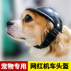 狗狗猫咪安全帽头盔宠物机车哈雷摩托帽子英短小型犬网红帅气配饰