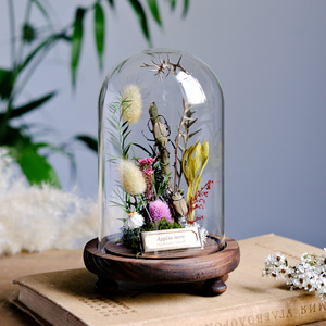 鼎朵壹品昆虫标本动物植物标本玻璃罩生态微景观甲壳虫朋克科普软