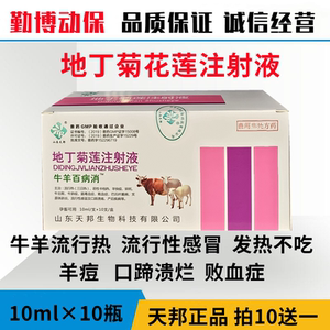兽用牛羊百病消地丁菊莲注射液牛羊发热不吃感冒牛结节病口蹄溃烂