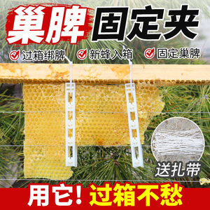养蜂巢脾夹过箱绑脾蜜蜂专用分蜂群固定巢脾中蜂意蜂工具