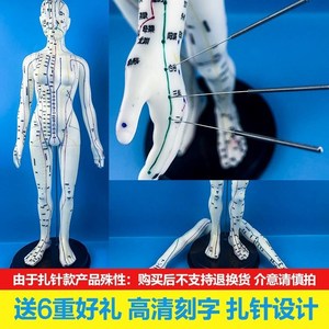 针灸人体模型硅胶可扎针练习假人男女经络小皮人教学中医用穴位图