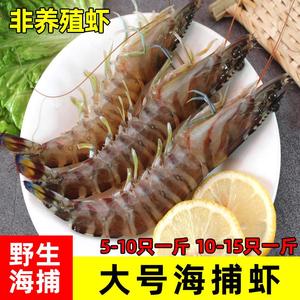 510只一斤特大斑节虾斑马虾九节虾车虾对虾新鲜海鲜基围虾