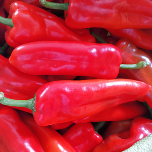 新鲜大红辣椒灯笼椒大红椒尖椒蔬菜椒农家自种现摘5斤包邮泡椒