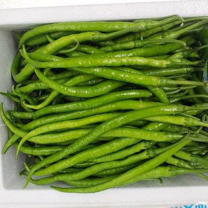 新鲜辣椒新鲜青线椒二荆条香辣薄皮细长尖椒中辣3斤5斤包邮