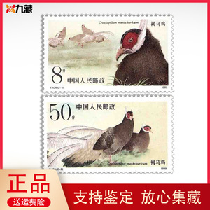 T134褐马鸡特种邮票 特有鸟类 大版票 四方连