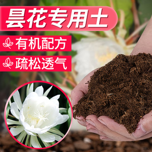 昙花专用土营养土昙花专用肥料专用花土壤橡皮树土养花种植土泥土