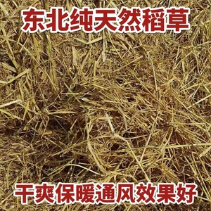 稻草垫窝保暖干净干燥东北新稻草保温草兔子床垫稻草新鲜鸡生蛋窝