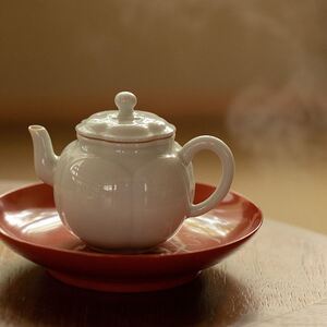 000人付款淘宝昌南名物 梅花壶草木灰釉 陶瓷功夫茶