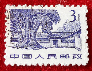 普11革命圣地邮票 3分 瑞金沙洲坝 信销 全 集邮收藏