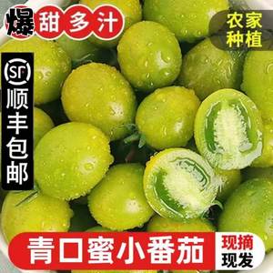 【顺丰包邮】山东潍坊青口蜜绿色小番茄新鲜现摘现发西红柿水果