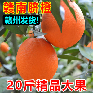 正宗江西赣南脐橙官方旗舰店冬季新鲜水果10斤甜橙子一级产地直发