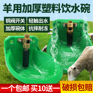 羊用饮水碗塑料羊饮水器喂水喝水碗养羊设备饮水槽羊用自动饮水器